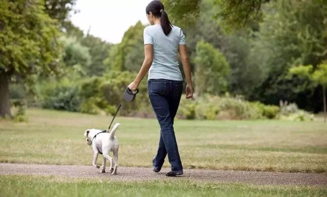 20221124095218_46359