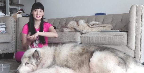 20221124095529_87404 20221124095529_87404