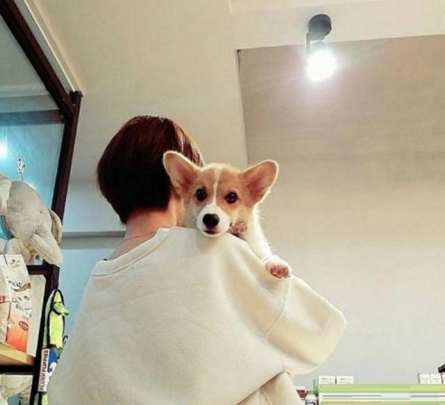 20221124120955_15984