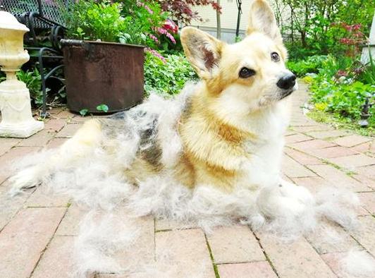 20221124120955_21264