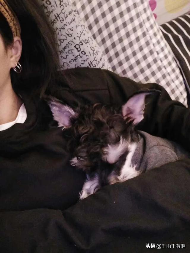 20221124124553_16306