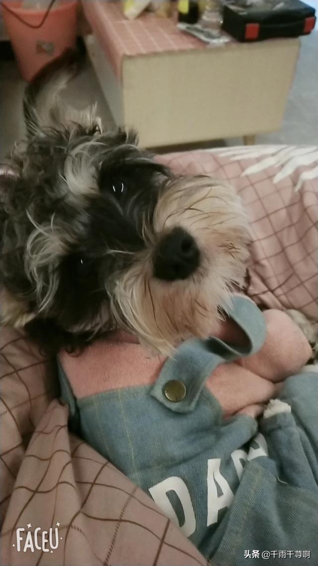 20221124124554_71555