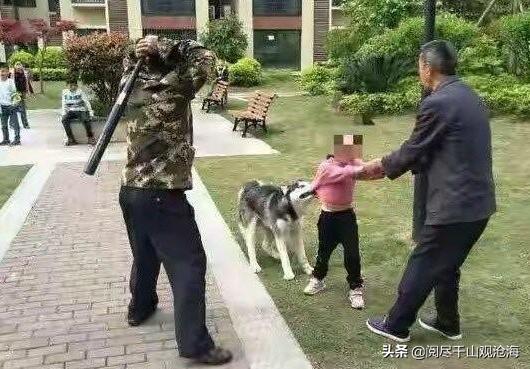 哈士奇狗肉多少钱一斤_江西狗肉多少钱一斤 - 警犬训练器材厂家 _警犬训练用品_工作犬训练用品-南京开久警犬装备-警犬训练器材厂家 _警犬训练用品_工作犬训练用品-南京开久警犬装备