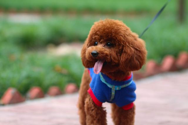 20221124170800_33122