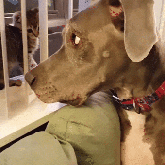 20221124170800_36686