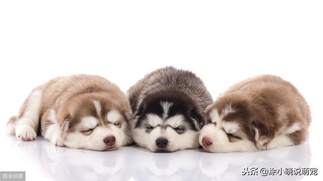 20221124174428_30524