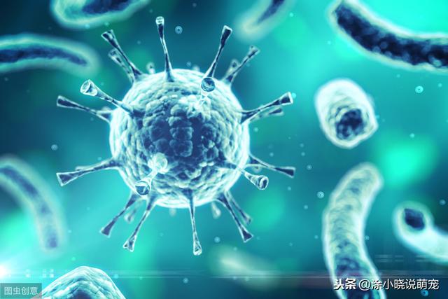 20221124174428_48042