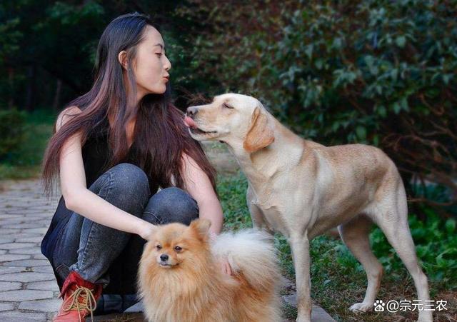 养狗的坏处有哪些(养狗的坏处有哪些英语) - 警犬训练器材厂家 _警犬训练用品_工作犬训练用品-南京开久警犬装备-警犬训练器材厂家 _警犬训练用品_工作犬训练用品-南京开久警犬装备