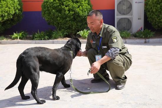 国内第一训犬师_国家一级训犬师-警犬训练器材厂家 _警犬训练用品_工作犬训练用品-南京开久警犬装备