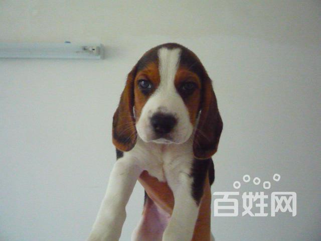 20221124182634_35424