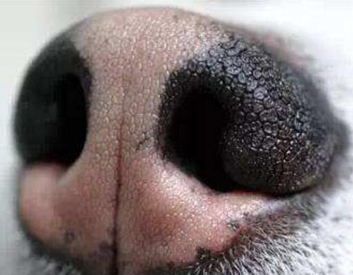 20221124191819_44445