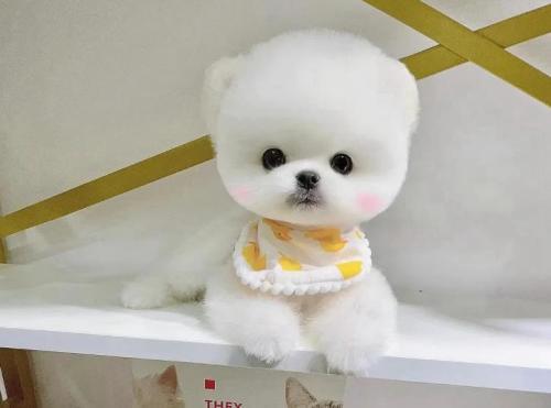 20221124220427_71706