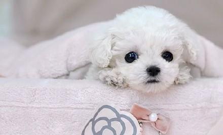 20221124220428_58844