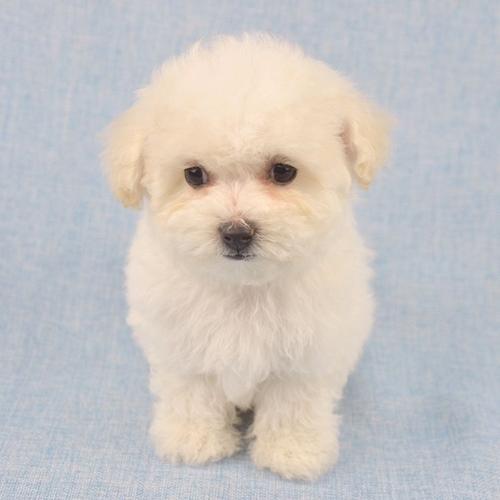 20221125083941_58367