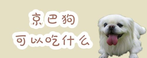 20221125083941_59057