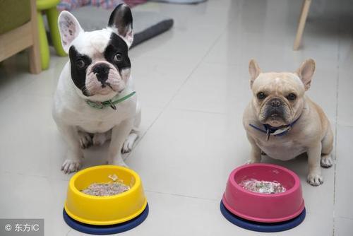 20221125083941_62732