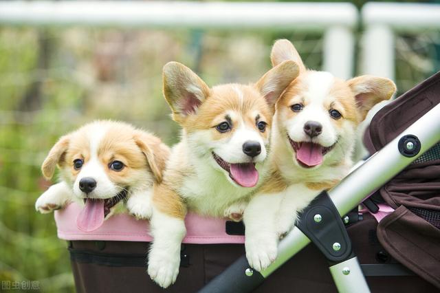 20221125091118_35843 20221125091118_35843