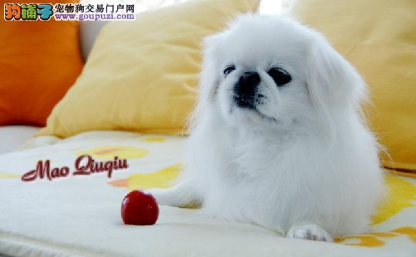 20221125093253_38444