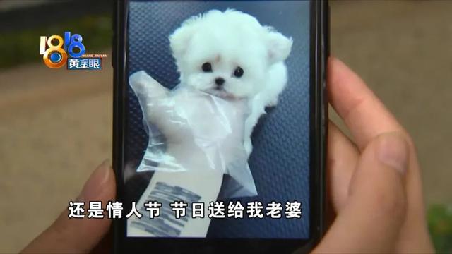 20221125093352_54743 20221125093352_54743