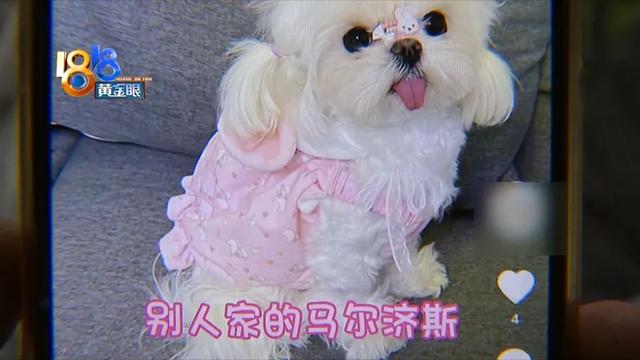 20221125093352_78580 20221125093352_78580