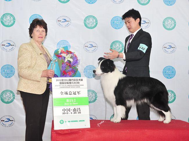 福佑园犬舍(福佑园犬舍官网) - 警犬训练器材厂家 _警犬训练用品_工作犬训练用品-南京开久警犬装备-警犬训练器材厂家 _警犬训练用品_工作犬训练用品-南京开久警犬装备
