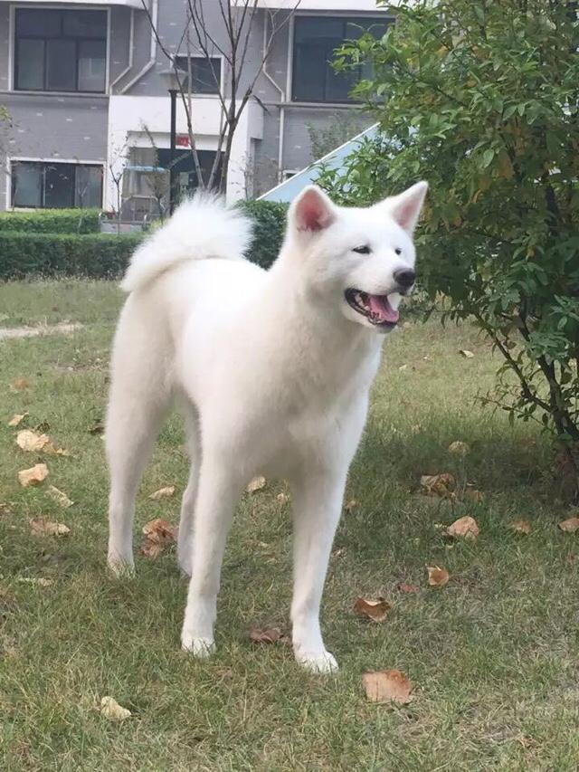 20221125114630_19602