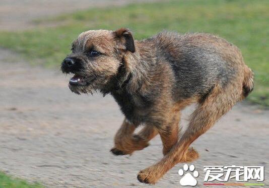 20221125115501_32589