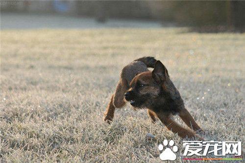 20221125115501_50950