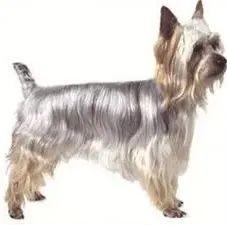 20221125132027_74410 20221125132027_74410