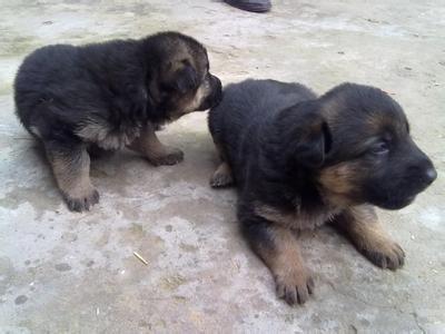 20221125135101_65754 20221125135101_65754