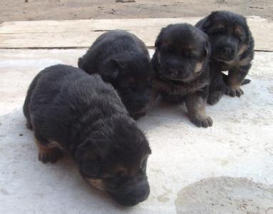 20221125135101_89546 20221125135101_89546