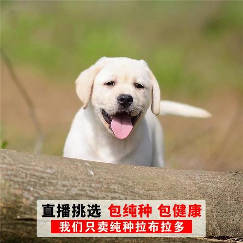 20221125135910_45158 20221125135910_45158