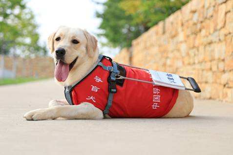 20221125135911_61233 20221125135911_61233