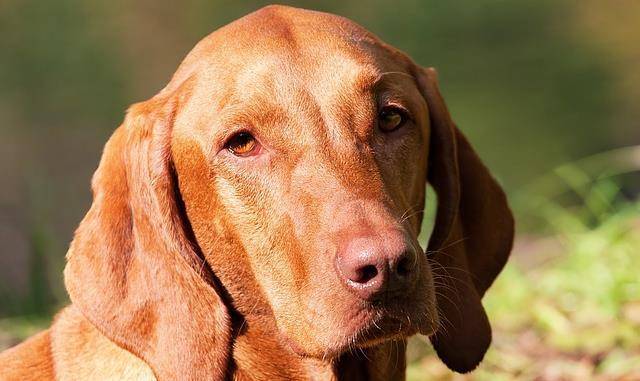 20221125160922_87724 20221125160922_87724