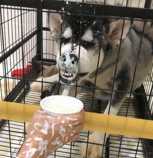 20221125161254_87228 20221125161254_87228