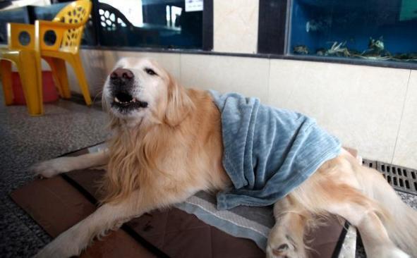 20221125161615_24537