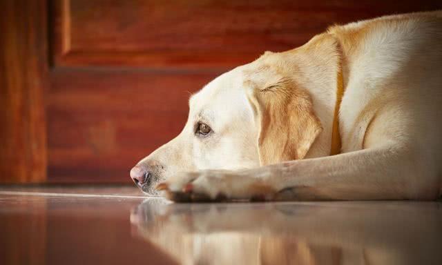 20221125191232_44252