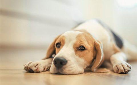 20221125194448_34919