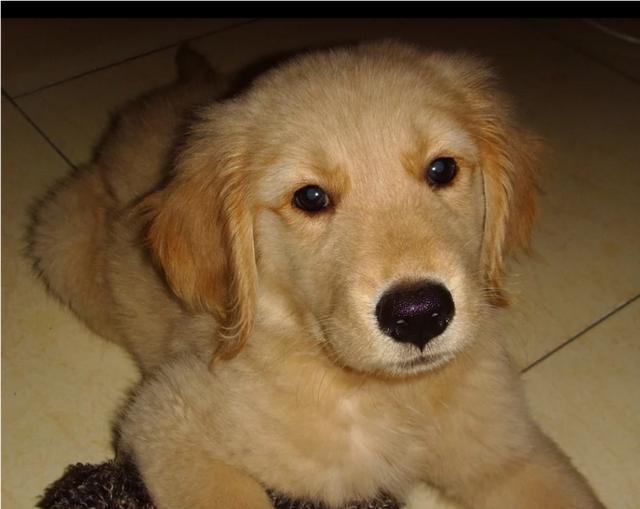 20221126093242_53378