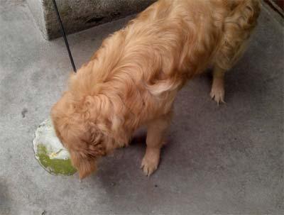 20221127123038_73247