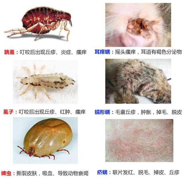 20221127123038_95451