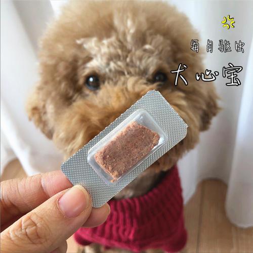 一岁狗狗喂犬心保-警犬训练器材厂家 _警犬训练用品_工作犬训练用品-南京开久警犬装备