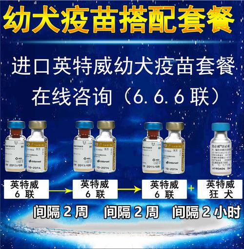 永康狗狗疫苗多少一只(农村狗狗打疫苗多少钱一只)-警犬训练器材厂家 _警犬训练用品_工作犬训练用品-南京开久警犬装备