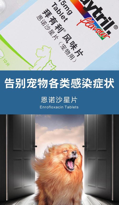 20221127171848_35580 20221127171848_35580