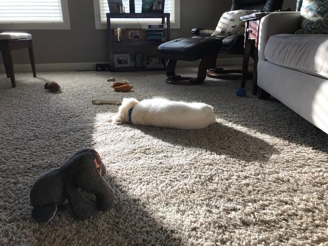 20221127171848_40578 20221127171848_40578