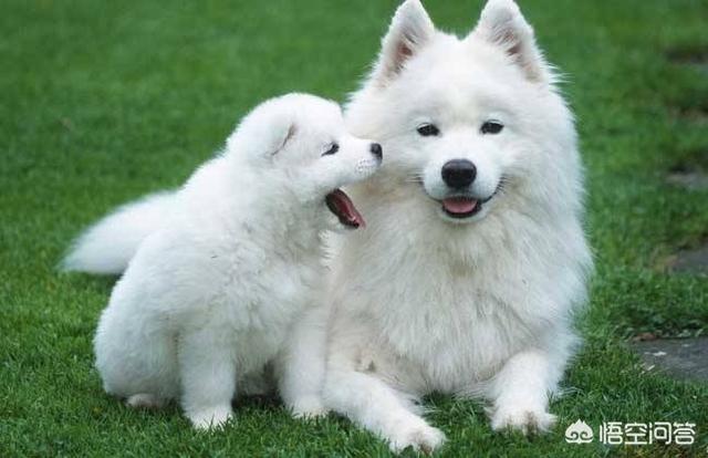 20221128084131_46631