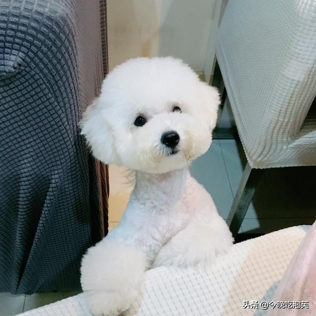 20221128192402_19610 20221128192402_19610