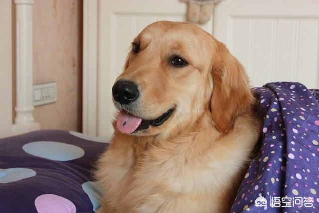 20221129011042_81034 20221129011042_81034