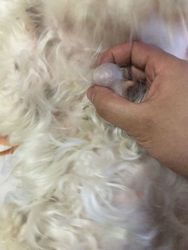 20221129143247_16840