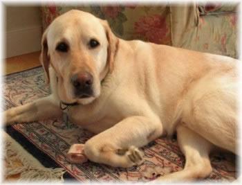 20221129191133_60824 20221129191133_60824